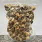 Moringa Seeds