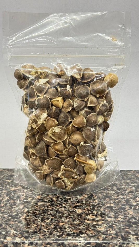 Moringa Seeds