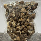 Moringa Seeds
