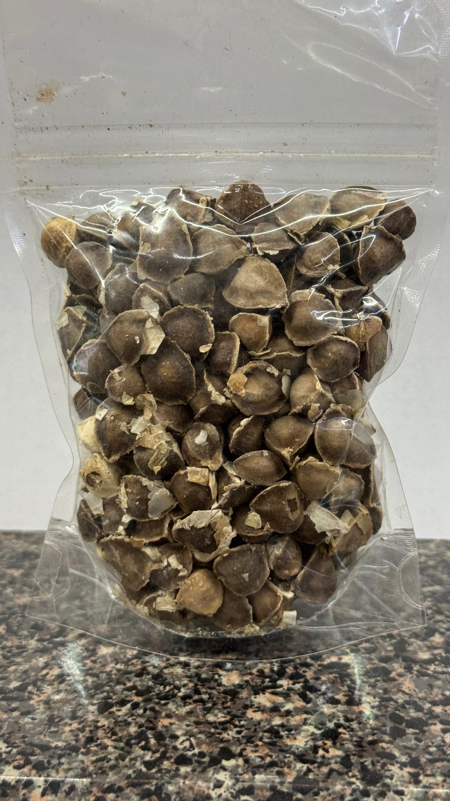 Moringa Seeds